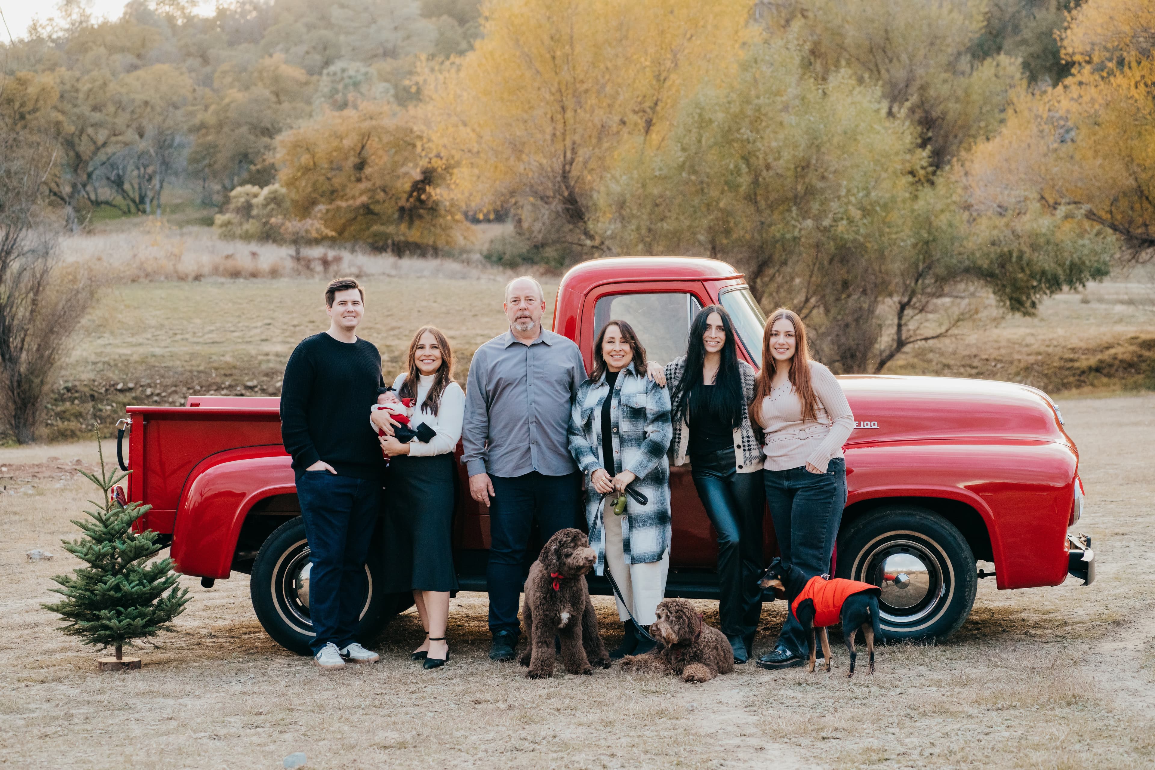 Extended family with three dogs poses in front of a vintage red pickup truck in a golden autumn field